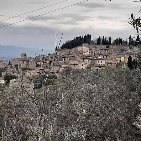 La Casa Di Monami Holiday home *